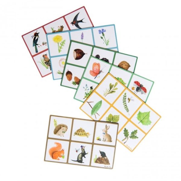 Lotto natuur Aujourd'hui c'est mercredi - Afbeelding 5
