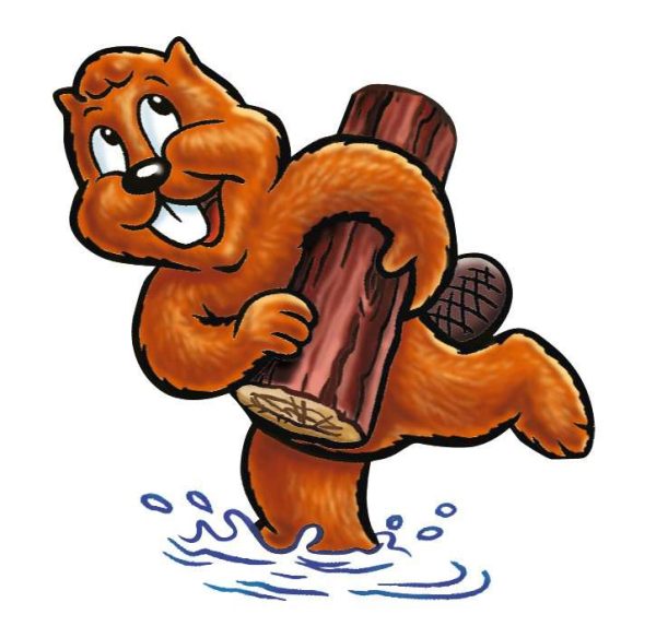 Bert Bever - Afbeelding 4