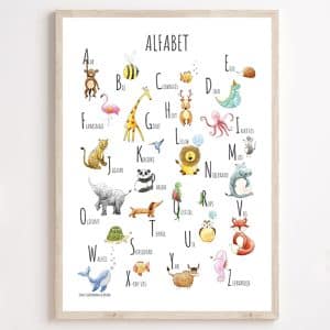 Alfabet poster – 50 x 70 cm