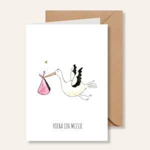 Kaartje – Hoera een meisje ooievaar