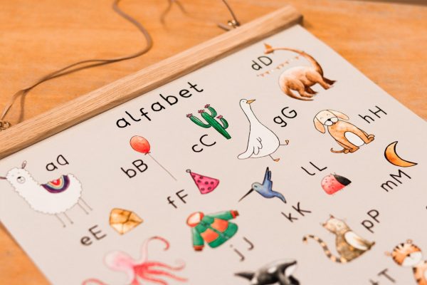 Alfabet poster - schooleditie - 50 x 70 cm - Afbeelding 4