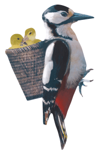 Sticky tales – Muursticker Specht