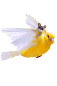 Sticky Tales – Muursticker Kanarie Sacha en Muisje Bo