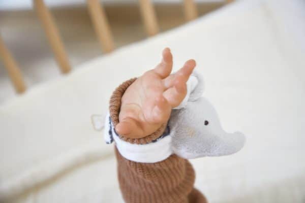 Kaloo Petites Chansons - Armband en slofjes met geluid Olifant - Afbeelding 2
