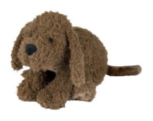 Labradoodle Larry no. 1