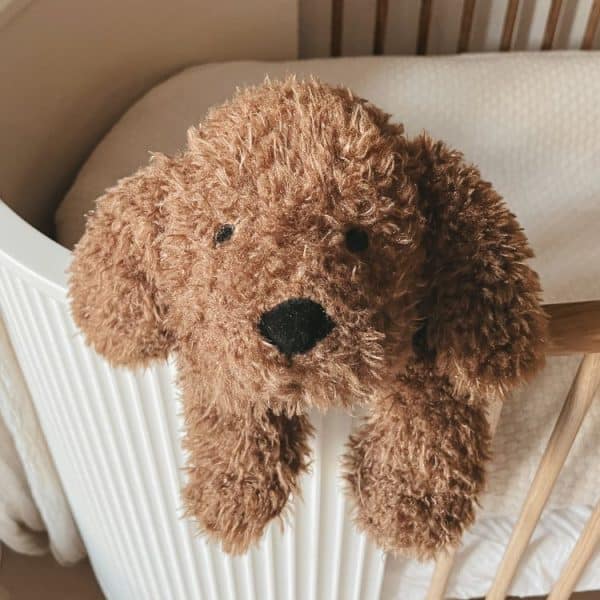 Labradoodle Larry no. 2 - Afbeelding 3