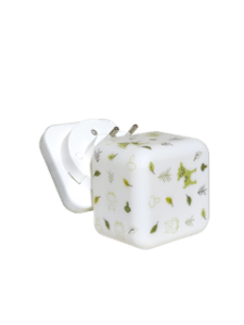 CLOUD-B – Kubus B – Bos