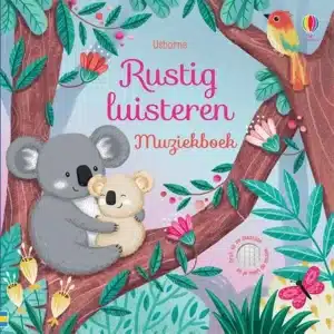 Geluidenboek: Rustig luisteren muziekboek. 0+