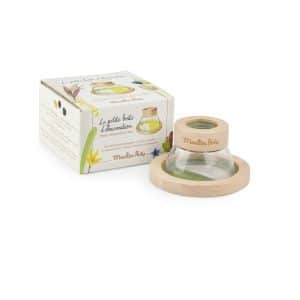 Klein observatiekastje – De Botanist – De Molentuin