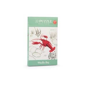 3D-puzzel met rivierkreeften van over de hele wereld